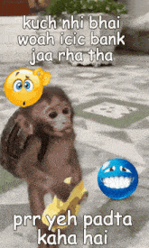 a picture of a monkey with a smiley face on it