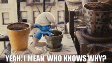 The Smurfs Yeah I Mean Who Knows Why GIF - The Smurfs Yeah I Mean Who Knows Why Clumsy Smurf GIFs