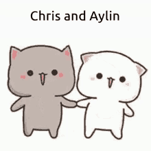aylin chris couple cat kitty