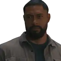 a man with a beard is wearing a grey shirt and a blue shirt
