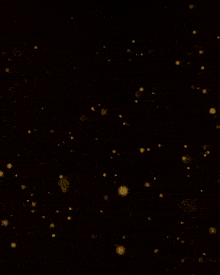 Starmaker 8fin Ako GIF