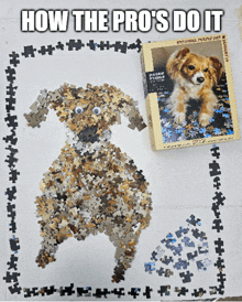 Dog Jigsaw Puzzle GIF - Dog Jigsaw Puzzle Puzzles GIFs