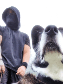 a man wearing a black hoodie stands next to a large black and white dog
