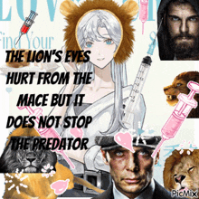 the lion 's eyes hurt from the mace but it does not stop the predator picmix