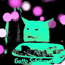 Gatto Schifomadò Gatto GIF - Gatto Schifomadò Gatto Gatto Bianco GIFs