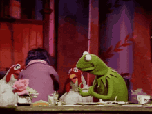 Muppet Show Gonzo GIF - Muppet Show Gonzo Kermit GIFs