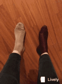 Pied Foot GIF