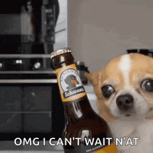 a small dog is standing next to a bottle of beer .
