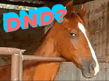 Horse Dnd GIF - Horse Dnd Horse Dnd GIFs