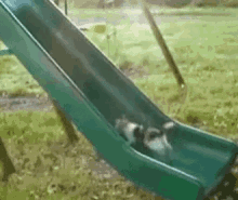 animal slide
