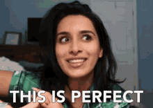 This Is Perfect Perfect GIF - This Is Perfect Perfect Perfection GIFs