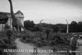 a black and white photo of a man and a woman standing in front of a building with the words 0670entaxim planet debrecen