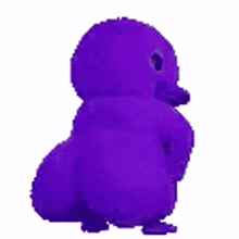 duck shakin purple duck cute