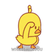 Where Are You Looking For You GIF - Where Are You Looking For You Chick GIFs