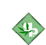 a green square with a marijuana leaf and a letter p on it .