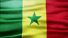 Senegal Flag Gif GIF