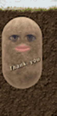 potato thank you thanks thanks to you