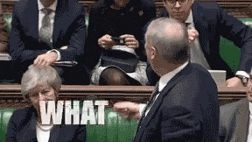 Geoffrey Cox What Are You Playing At GIF - Geoffrey Cox Cox What Are You Playing At GIFs