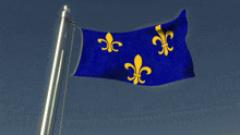 a blue flag with yellow lilies on it
