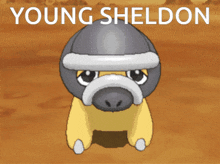 a picture of a pokemon with the name young sheldon on the bottom