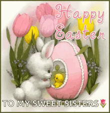 a happy easter card to my sweet sisters with a bunny rabbit and a pink easter egg .