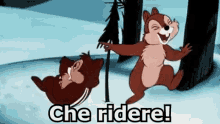 Cip E Ciop Ridere Risate Scoiattoli Disney GIF - Chip And Dale Laugh Squirrel GIFs