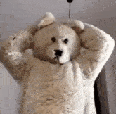 a person is wearing a teddy bear costume with muscles on their arms and legs .