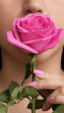 Rose GIF