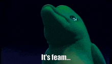 a green dolphin with the words it 's feam written on the bottom