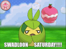 Swadloon Saturday GIF