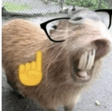 a capybara wearing glasses and a yellow finger