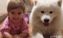 A Cara De Felicidade Perto De Um Cachorro GIF - Toddler Dog Samoyed GIFs