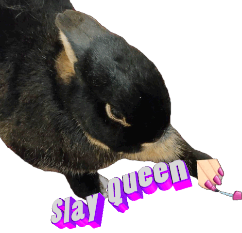 Slay Queen Rabbit Sticker - Slay Queen Rabbit Stickers
