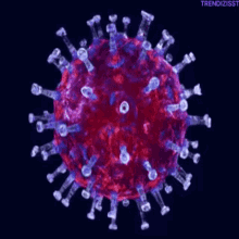 Coronavirus Covid19 GIF - Coronavirus Covid19 Virus GIFs