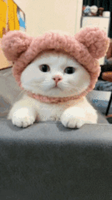 Madison R Cute GIF - Madison R Cute Kitty Cute Cat GIFs