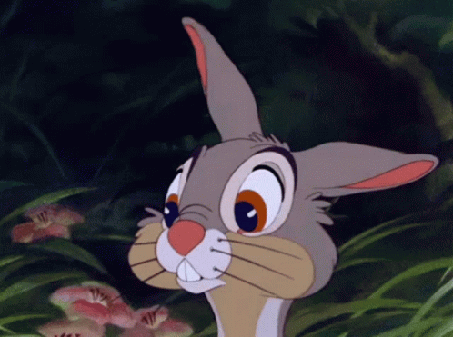 Cute Bunny GIF - Cute Bunny Disney - Discover & Share GIFs