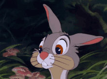 Cute Bunny GIF - Cute Bunny Disney GIFs