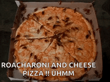 Hamam Bocegi Pizza GIF - Hamam Bocegi Pizza GIFs
