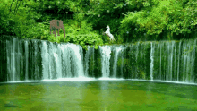 Waterfall Nature GIF - Waterfall Nature Unicorn GIFs
