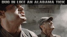 Alabama Tick Predator GIF - Alabama Tick Predator Catfoodcannon GIFs