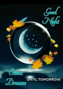 a picture of a crescent moon and leaves with the words " good night sweet dreams until tomorrow "