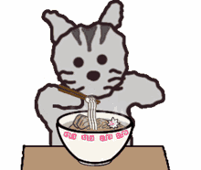 noodle cat