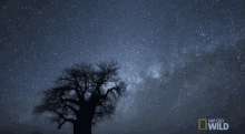 What The Sky Looks Like Without Light Pollution GIF