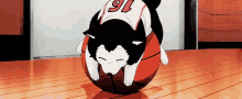 Kurokono Basketball Dog GIF - Kurokono Basketball Dog GIFs