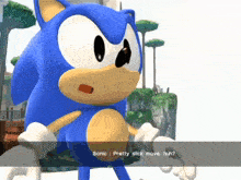 a screenshot of sonic the hedgehog from a video game says " pretty slick move huh "