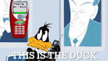 a duck talking on a cell phone with the words this is the duck