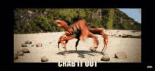 Crab It GIF - Crab It Out GIFs