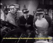 Toto La GIF - Toto La Filagrana GIFs