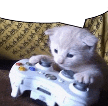 Cat Gaming GIF - Cat Gaming Cute GIFs