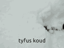Koud Tyfus GIF - Koud Tyfus Kati GIFs